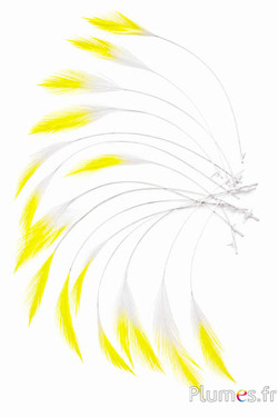 Haan - 10-15 cm - wit-geel